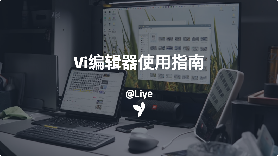 Vi编辑器使用指南