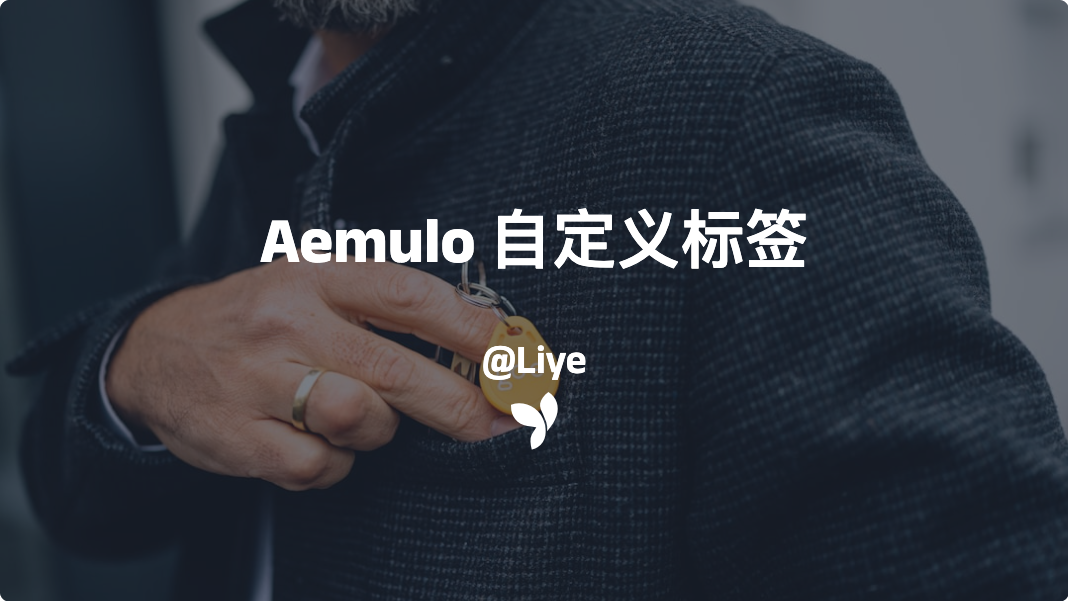 Aemulo自定义标签